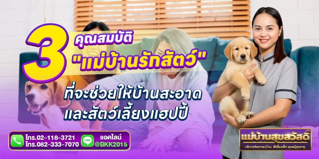 วิธีเลือกแม่บ้านรักสัตว์ ทำงานเนี้ยบ ปลอดภัย | แม่บ้านสุขสวัสดิ์